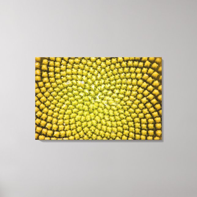 Lienzo Centro de girasol gigante (Helianthus annuus) (Anverso)