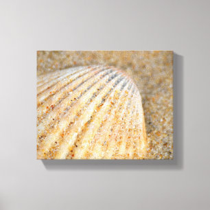 Lienzo Cerca de Cockle SeaShell en la arena de la playa
