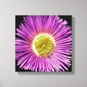 Lienzo Cercanía de la flor morada Boho alegre floral