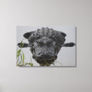 Lienzo Cercano y personal