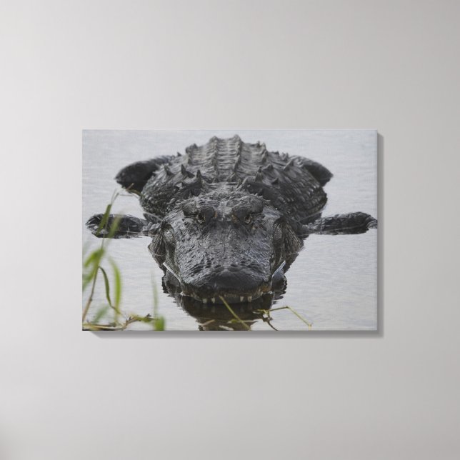 Lienzo Cercano y personal (Anverso)