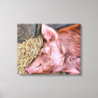 CERDO CUTIDO