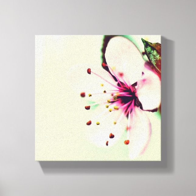 Lienzo Cerezo en flor (Anverso)