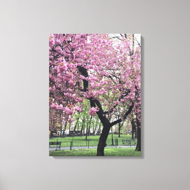 Lienzo Cerezo en flor Springtime Tree NYC Nueva York (Anverso)