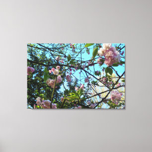 Lienzo Cerezo florido, naturaleza, árbol, florecimiento, 