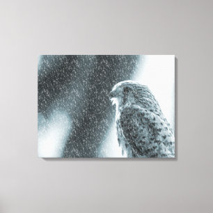 Lienzo Cernícalo en una tormenta de nieve