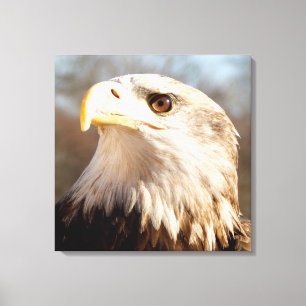 Lienzo Cerrado Majestic American Bald Eagle