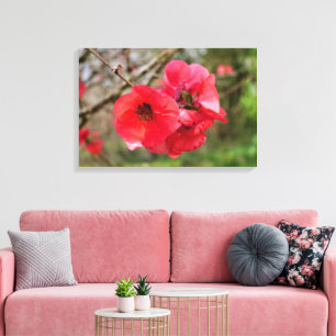 Lienzo Chaenomeles speciosa