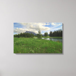 Lienzo Charcas de la cascada