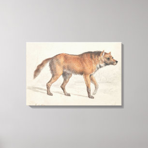 Lienzo Charles Hamilton Smith - Maned Wolf
