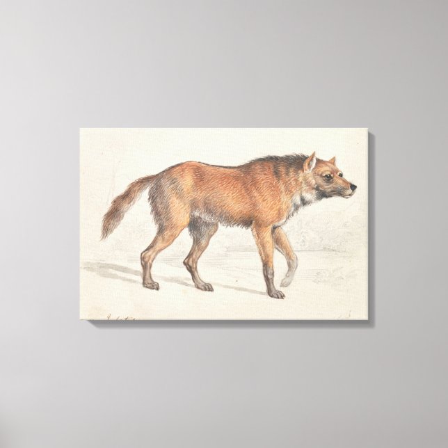 Lienzo Charles Hamilton Smith - Maned Wolf (Anverso)