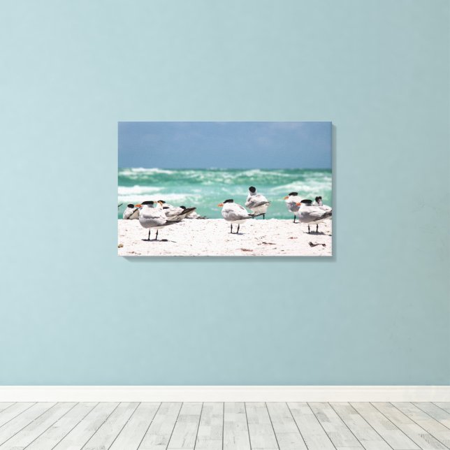 Lienzo Charterns de Florida en playa de arena blanca de F (Insitu (piso de madera))