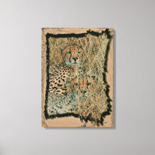 Lienzo Cheetahs