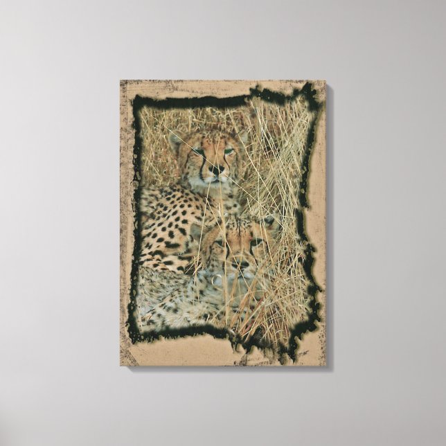 Lienzo Cheetahs (Anverso)