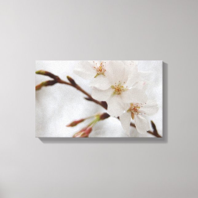Lienzo Cherry Blossom Canvas Art (Anverso)