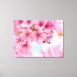 Lienzo Cherry blossom"Kawazu-zakura"：Premium Canvas