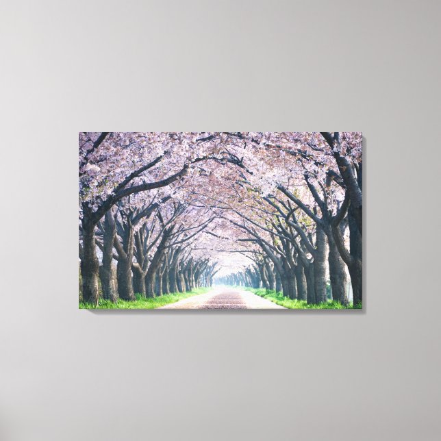 Lienzo Cherry Blossom Lane (Anverso)