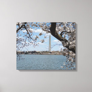 Lienzo CHERRY BLOSSOMS #1 EN CANVAS 20 "x 16"