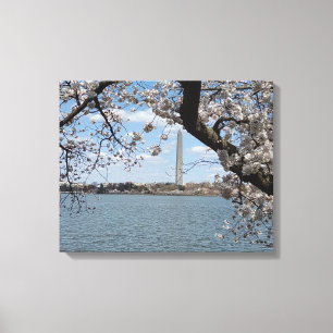 Lienzo CHERRY BLOSSOMS #1 EN CANVAS 20 "x 16"