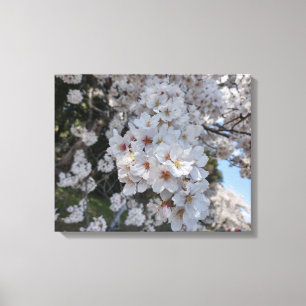 Lienzo CHERRY BLOSSOMS #2 EN CANVAS 20 "x 16"