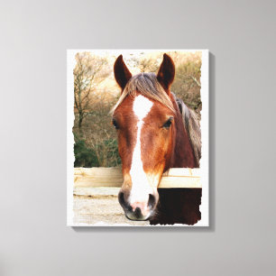 LIENZO CHESTNUT HORSE