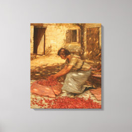 Lienzo Chica Packing Cherries en Provenza (Francia)