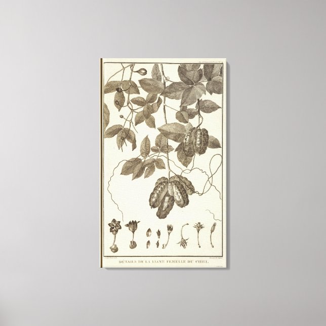 Lienzo Chile 10 (Anverso)