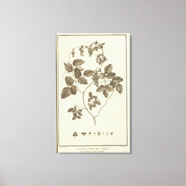 Lienzo Chile 8 (Anverso)