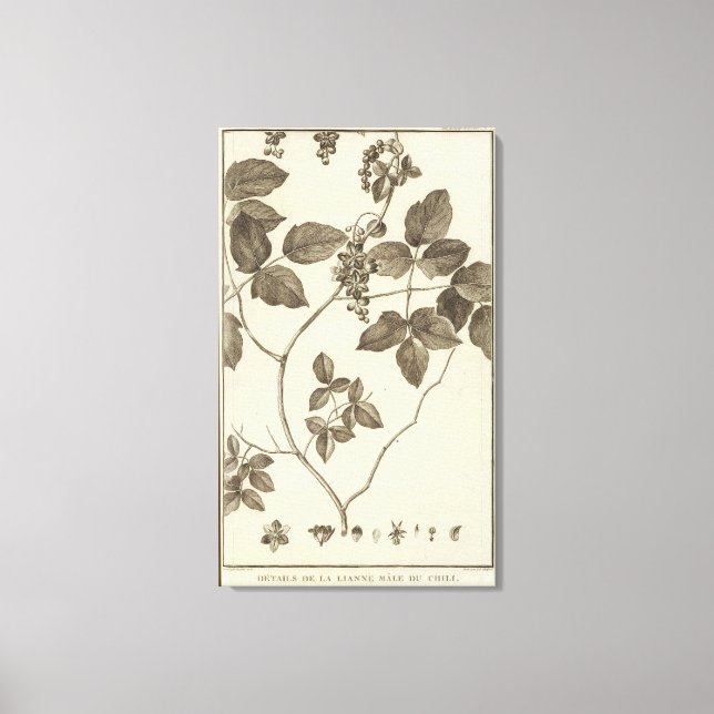 Lienzo Chile 9 (Anverso)