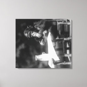 Lienzo Chimpancé asentado en la tabla en el parque