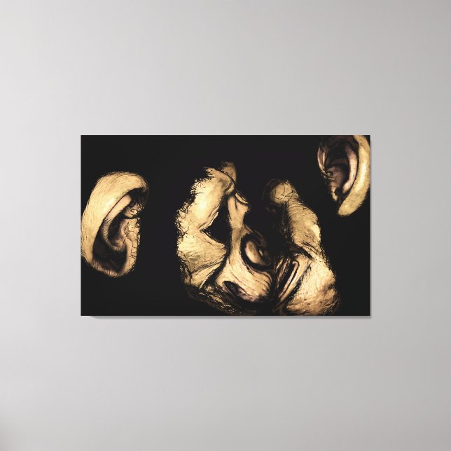 Lienzo chimpancés de besos (Anverso)