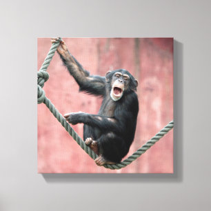 Lienzo Chimpanzee 001
