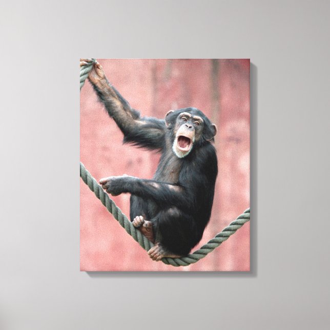 Lienzo Chimpanzee 001 (Anverso)