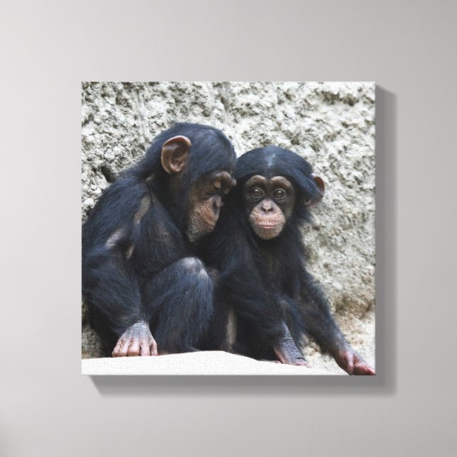 Lienzo Chimpanzee 002 (Anverso)