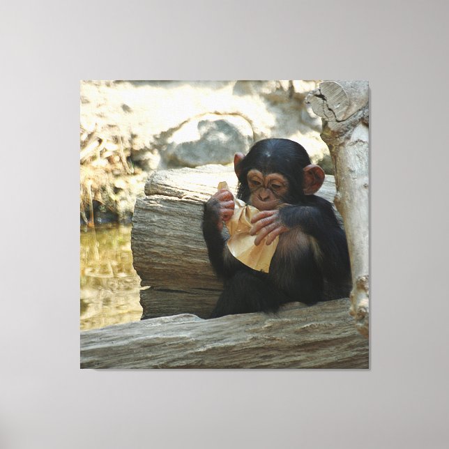 Lienzo Chimpanzee_2015_0101 (Anverso)
