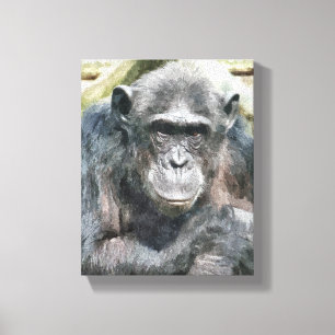 LIENZO CHIMPANZEES