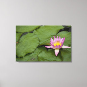 Lienzo China, Hong Kong, Nuevos Territorios. Chi Lin