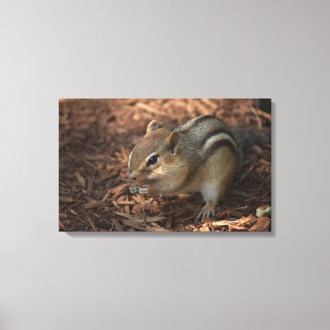 Lienzo Chipmunk (Anverso)