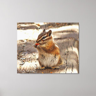 Lienzo Chipmunk