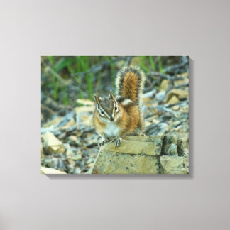 Lienzo Chipmunk en el Parque Nacional Glaciar