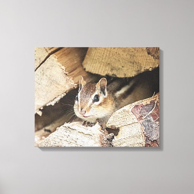 Lienzo Chipmunk en una pila de madera (Anverso)