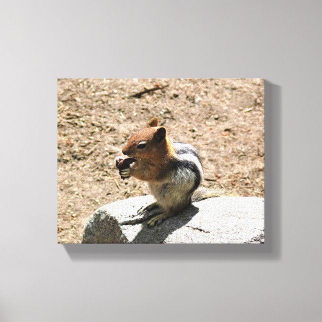 Lienzo Chipmunk en Yosemite, California (Anverso)