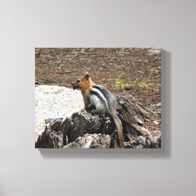 Lienzo Chipmunk en Yosemite, California (Anverso)