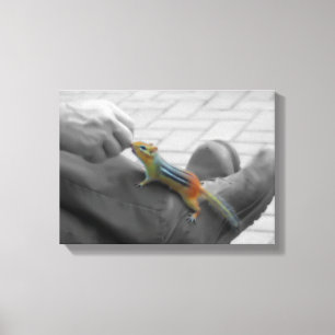 Lienzo Chipmunk Lunch