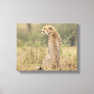 Lienzo Chita en el entorno natural envuelto