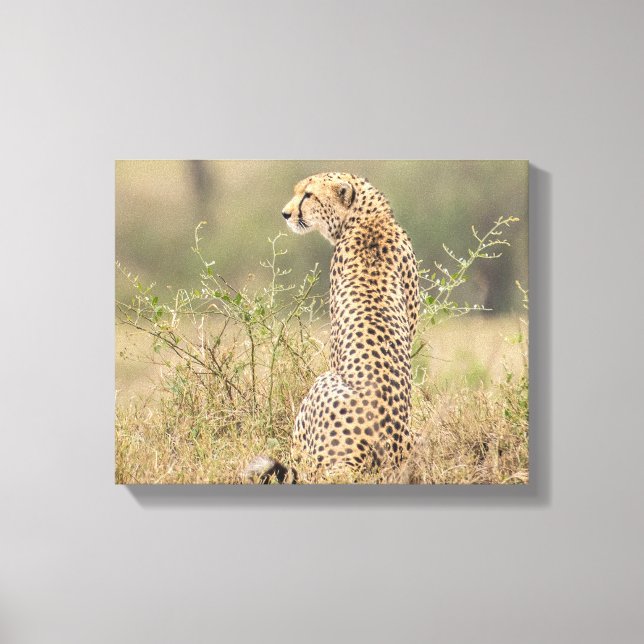 Lienzo Chita en el entorno natural envuelto (Anverso)