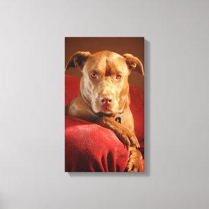 Lienzo Chocolate Lab Pit Mix Dog Retrato 3