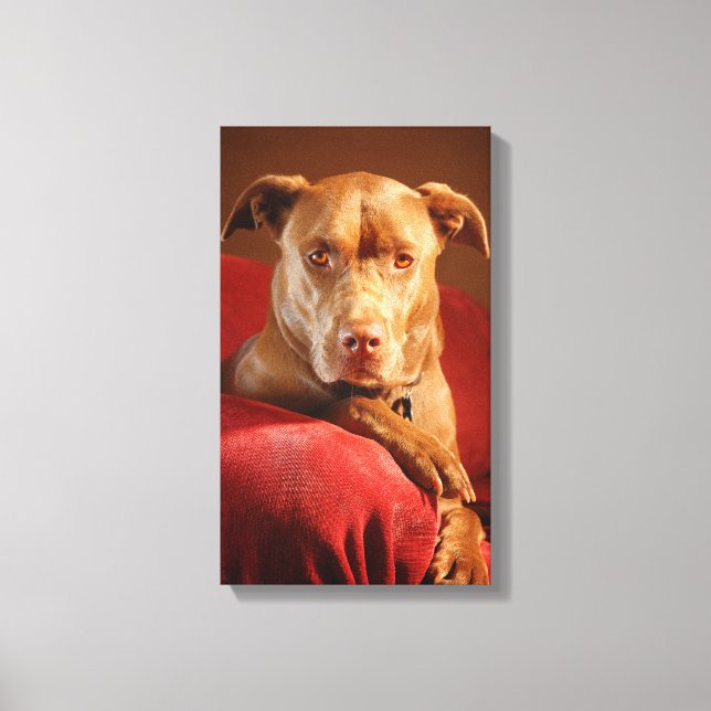 Lienzo Chocolate Lab Pit Mix Dog Retrato 3 (Anverso)