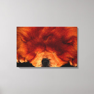 Lienzo Chow durmiente 24x16 (60x40cm) waccna