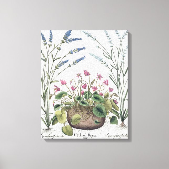 Lienzo ciclamen y lavanda: 1.Cyclamen Romanum; 2.Spica (Anverso)